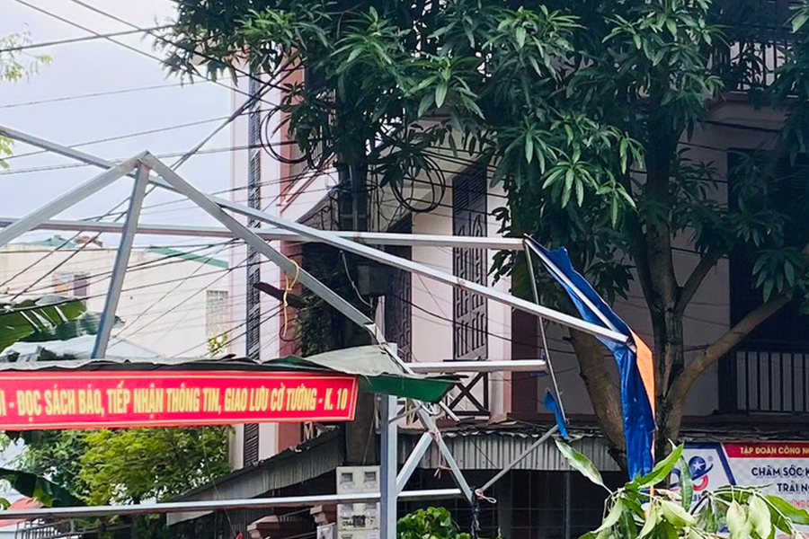 Ngang nhiên chặt cây xanh, phá hoại điểm vui chơi công cộng trên địa bàn TP Vinh