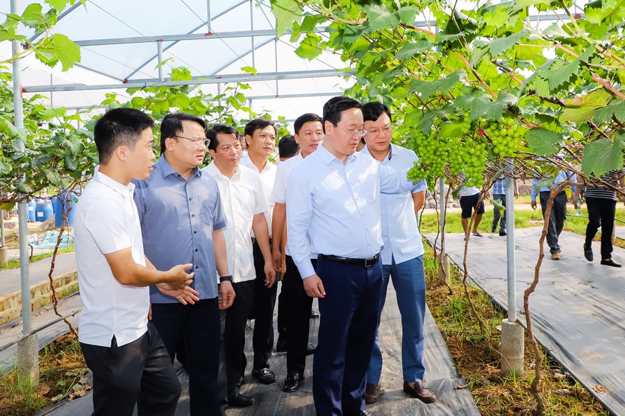 Chủ tịch UBND tỉnh Nguyễn Đức Trung thăm mô hình kinh tế và kiểm tra các dự án tại thị xã Thái Hòa