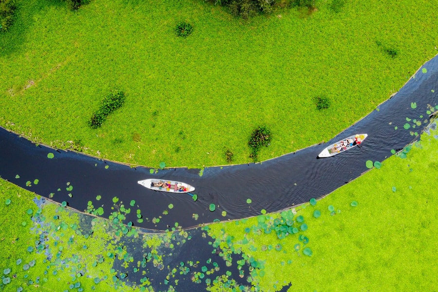 Khám phá rừng tràm Trà Sư mùa 'độc' nhất trong năm