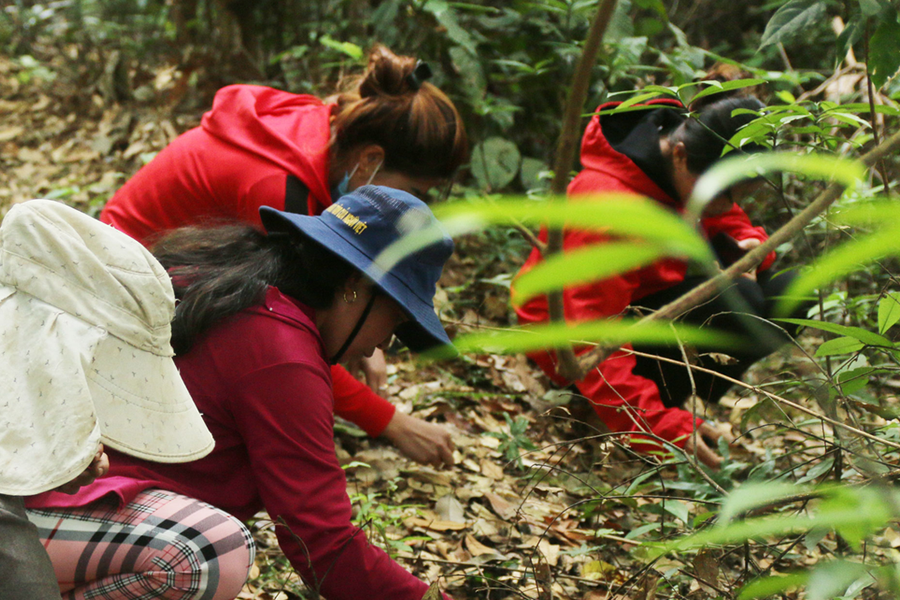 Vào rừng nhặt lộc trời