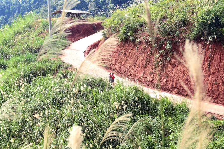 Những cung đường vùng biên nên thơ giữa mùa lau nở