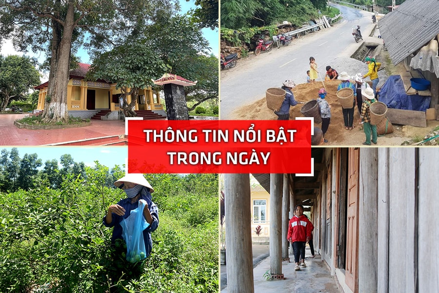 Nghệ An: Thông tin nổi bật ngày 21/11