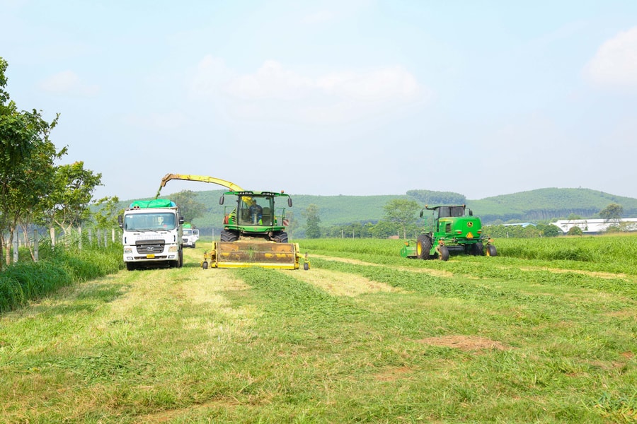 Doanh nghiệp ở Nghệ An cần hành động như thế nào trong xây dựng hệ sinh thái sản xuất xanh?