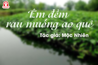 Tản văn hay: Êm đềm rau muống ao quê