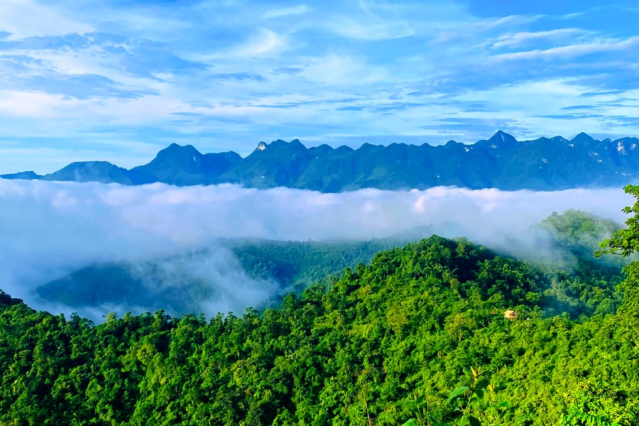 Giải pháp cấp bách để phục hồi và phát triển rừng ở Kỳ Sơn