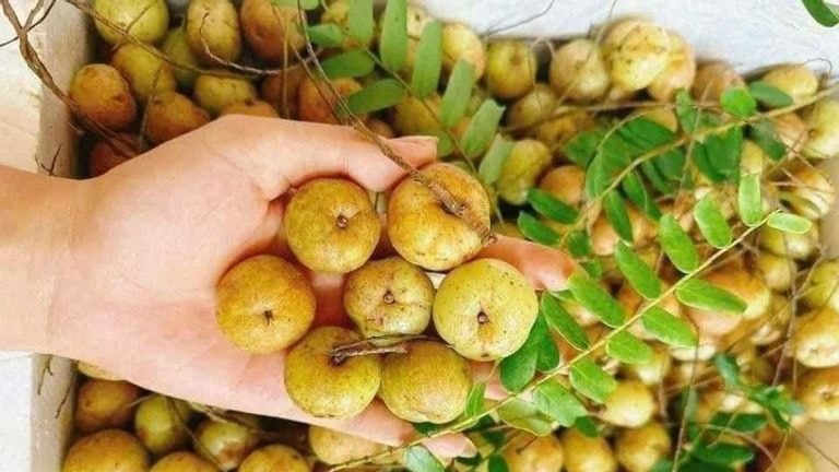Mắc kham gây sốt ‘chợ mạng’, giá bán đắt gấp đôi