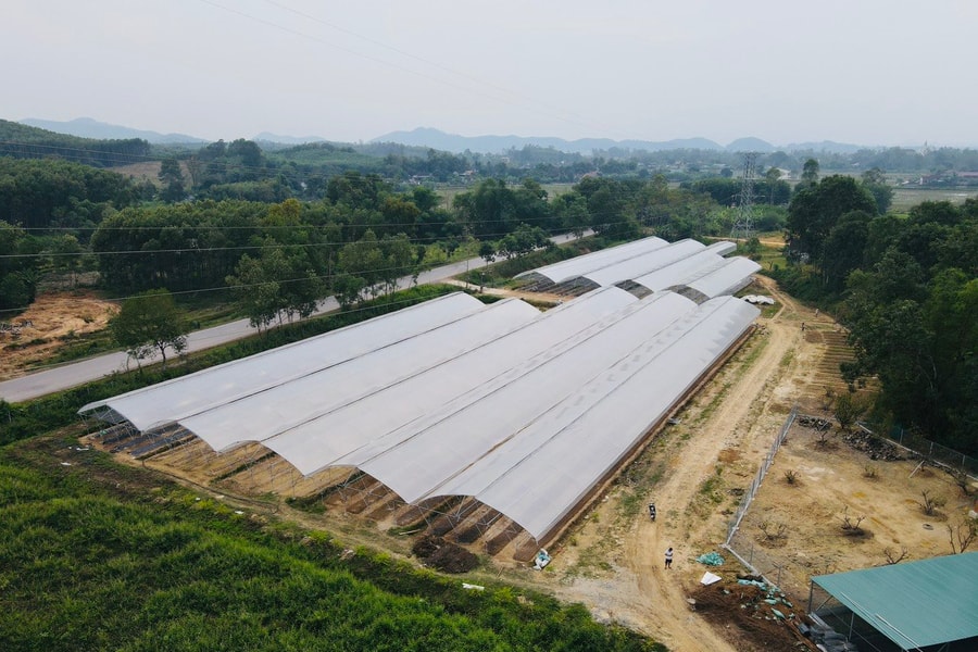 Dồn điền, đổi thửa, tích tụ ruộng đất, tạo vùng sản xuất chuyên canh ở huyện Đô Lương