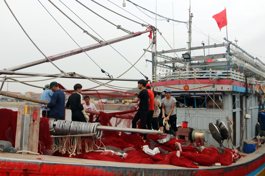 Chống khai thác IUU bằng chuyển đổi nghề cho ngư dân