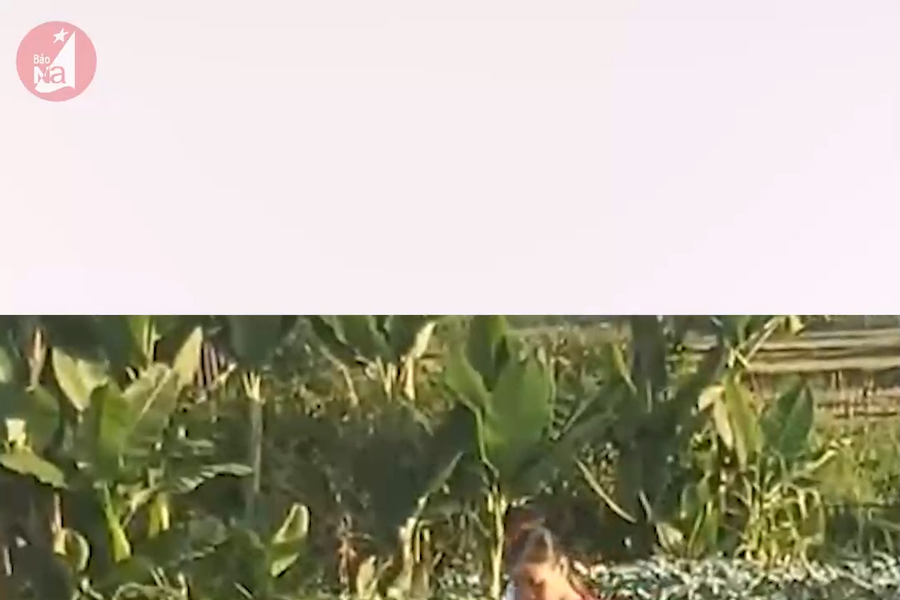 Nông dân vùng cao Nghệ An làm bể chứa nước tại ruộng để trồng rau vụ đông