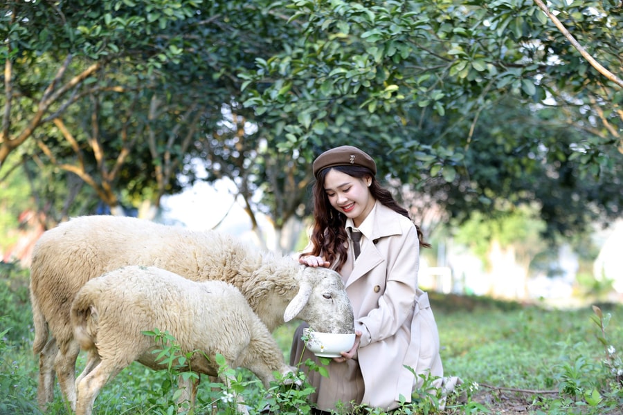 Các điểm đến ở Nghệ An sẵn sàng chào đón du khách dịp Tết Dương lịch