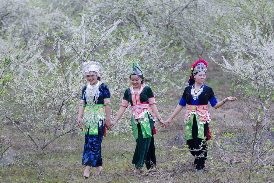 Top điểm đến hấp dẫn nhất Tết Dương lịch ở Nghệ An