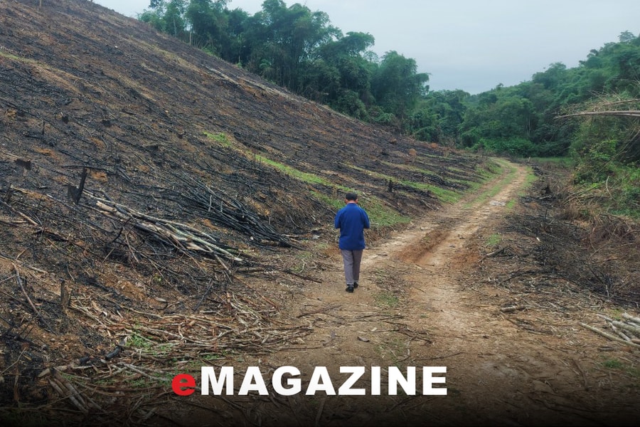 Poom Lầu đã hết ‘nóng’!