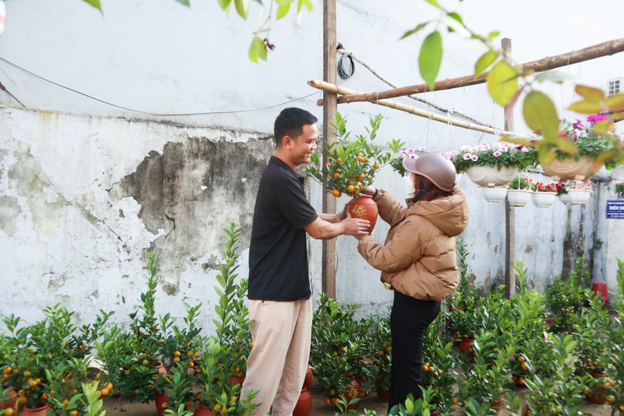 Quất, đào xuống phố, người dân thành Vinh tranh thủ chơi Tết sớm