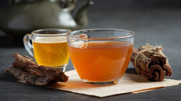 Uống một ly trà quế vào mùa Đông làm ấm cơ thể và ngừa ung thư