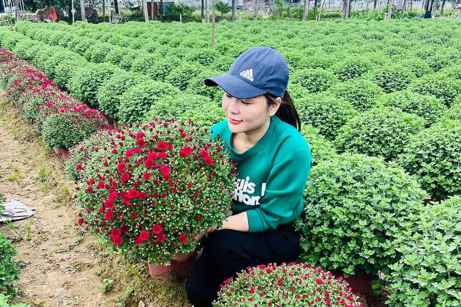 Các làng hoa ở Nghệ An chộn rộn đón Tết