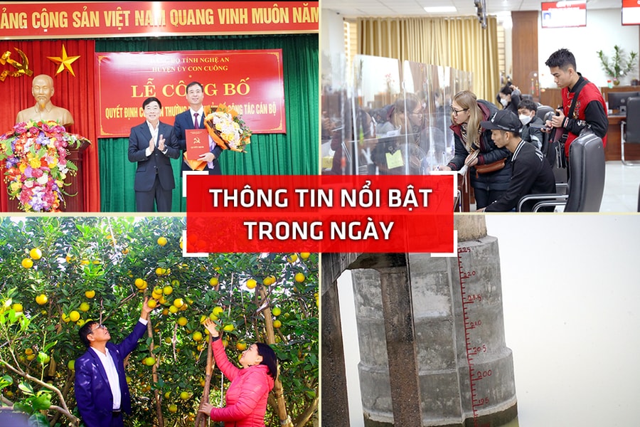 Nghệ An: Thông tin nổi bật ngày 10/1