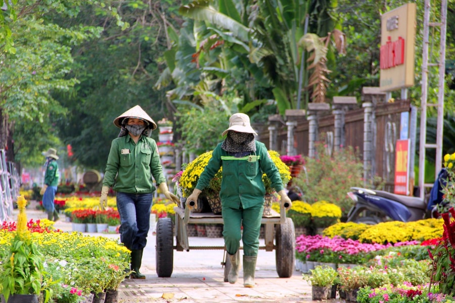 Công ty CP Công viên cây xanh TP Vinh: Góp sức cho thành Vinh “xanh - sạch - đẹp”