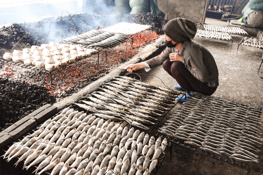 Làng biển Nghệ An đỏ lửa ngày đêm nướng cá phục vụ thị trường Tết