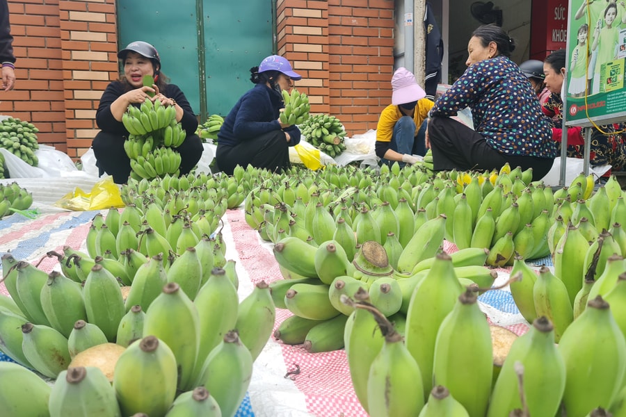 Chuối thắp hương ngày Tết đắt hàng, 300 ngàn đồng/nải