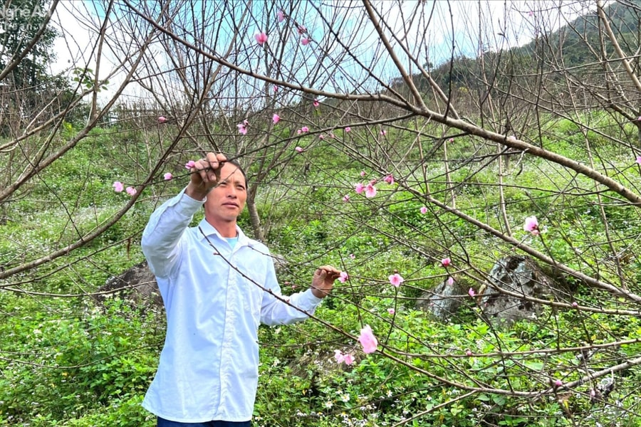 ‘Người đứng mũi’ ở Thằm Thẩm