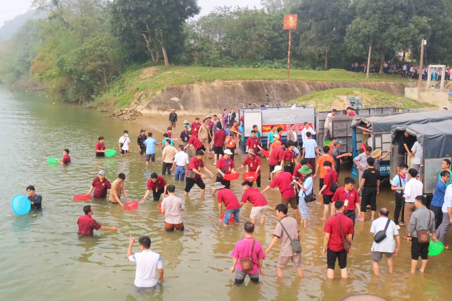 Chùa Viên Quang phóng sinh hơn 12 tấn cá xuống sông Lam