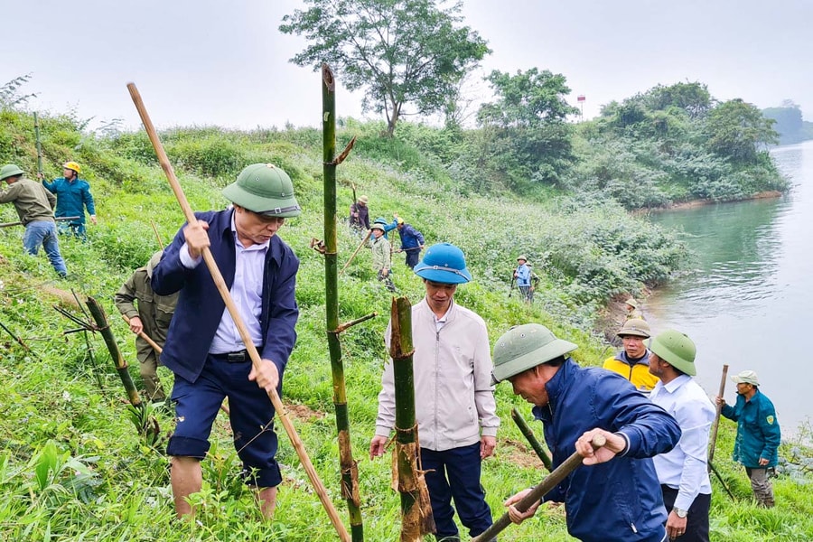 Nông dân Nghệ An trồng tre tạo bờ kè sinh thái dọc sông Lam