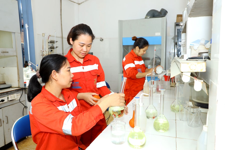 Tuyển nhiều nhân sự làm việc tại Công ty cổ phần Xi măng Sông Lam Nghệ An