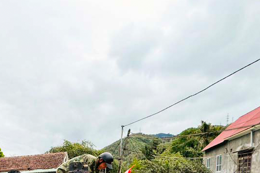 Nông dân Tương Dương thu trăm triệu đồng/ha từ khoai tây 'liên kết'