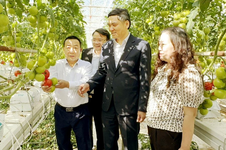 Đoàn công tác tỉnh Nghệ An thăm trang trại công nghệ cao ở Australia