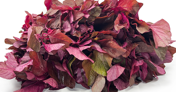 Rau dền, 'siêu' protein nhưng ai không nên ăn?