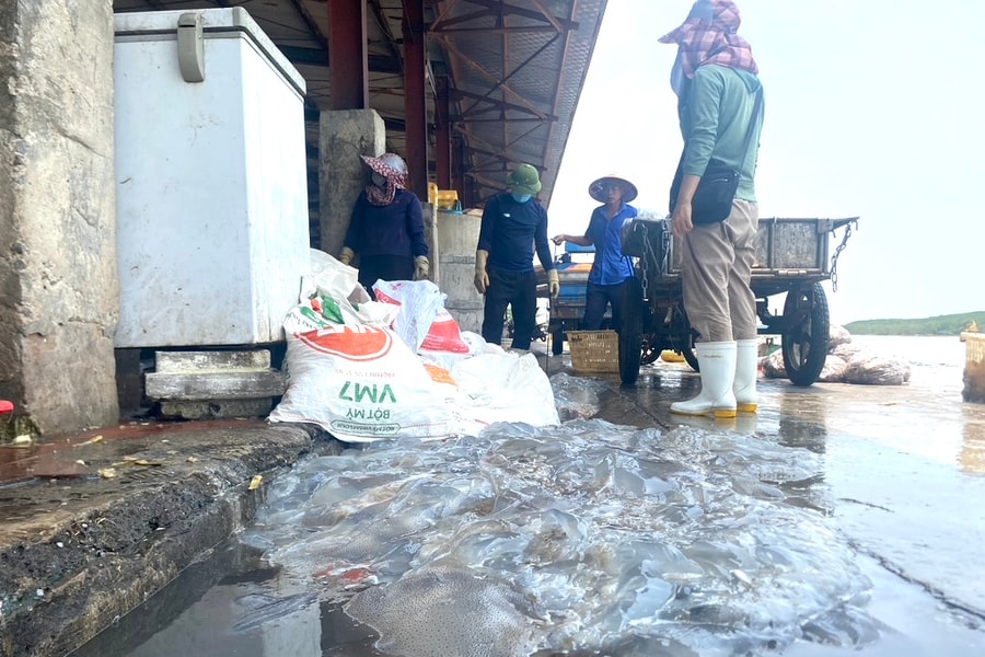 Giật mình 'mục sở thị' ô nhiễm ở cảng cá Lạch Vạn (Diễn Châu) 