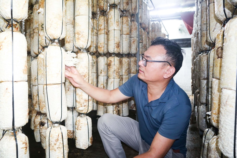 Tư duy bán hàng 'khác lạ' của ông chủ trại nấm ở Nam Đàn