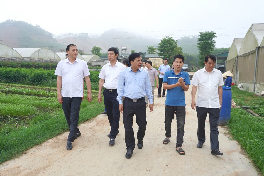 Đoàn giám sát HĐND tỉnh làm việc tại TX. Thái Hòa về thực hiện các mục tiêu, chỉ tiêu kinh tế - xã hội