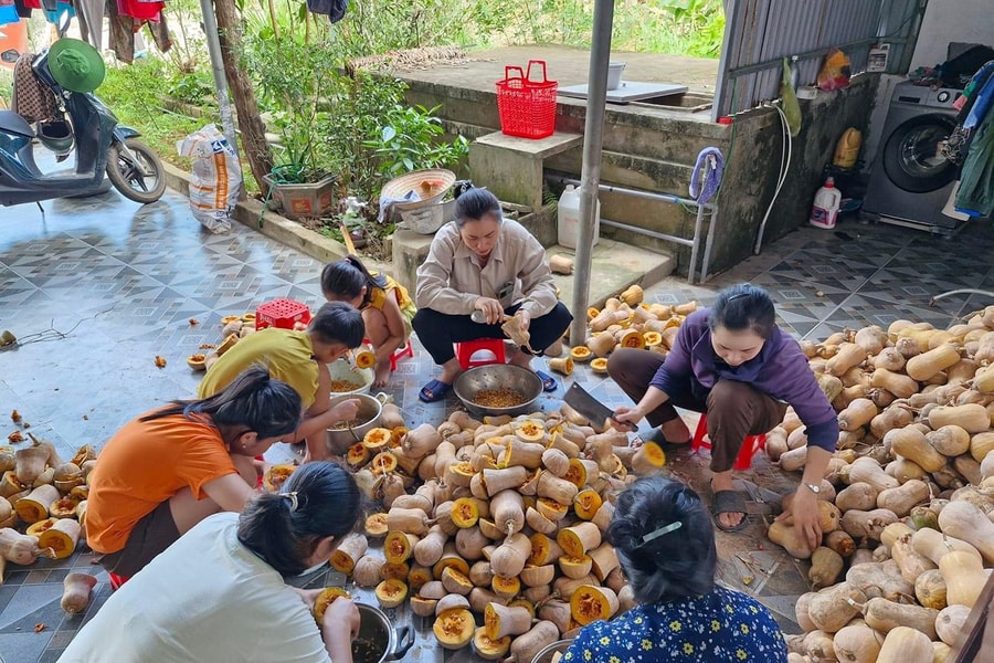 Nông dân Nghệ An trồng dưa hấu, bí đỏ để lấy hạt
