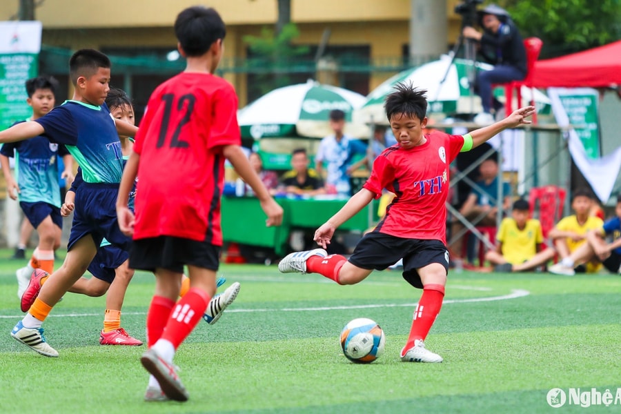 Highlight Thiếu niên TP. Vinh - Thiếu niên Nghi Lộc: 5-1