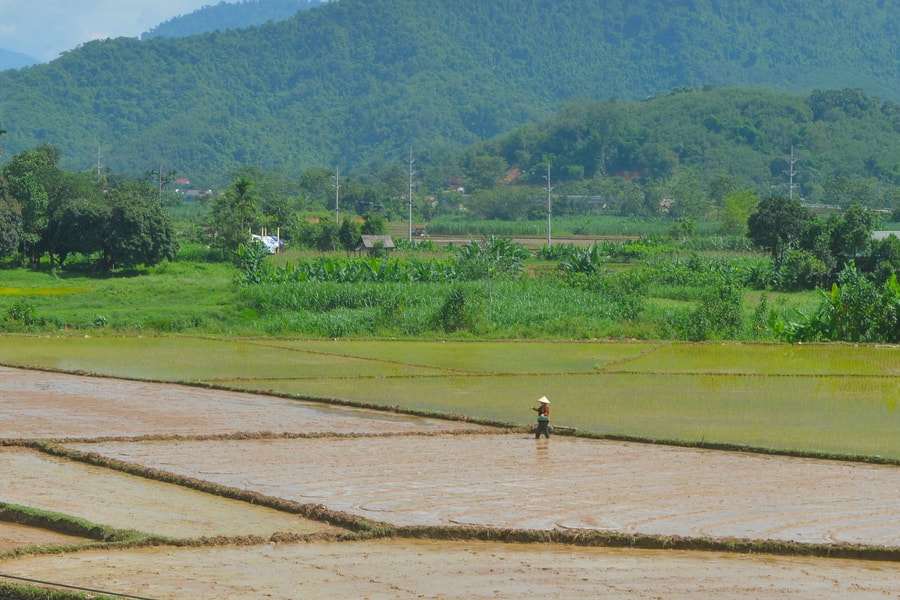 Tranh thủ nguồn nước mưa, vùng cao Nghệ An làm đất gieo cấy lúa mùa