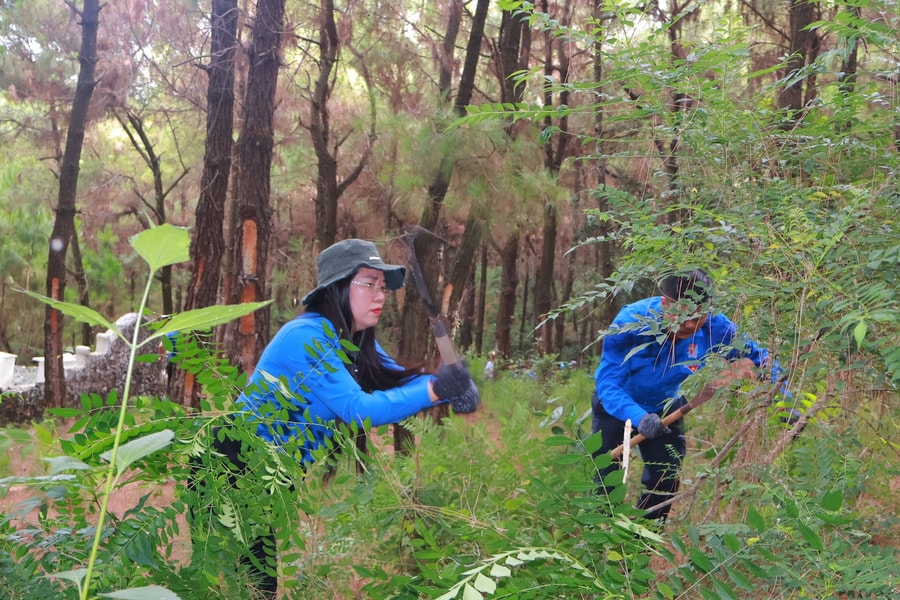 Huyện Quỳnh Lưu ra quân thu gom thực bì phòng, chống cháy rừng