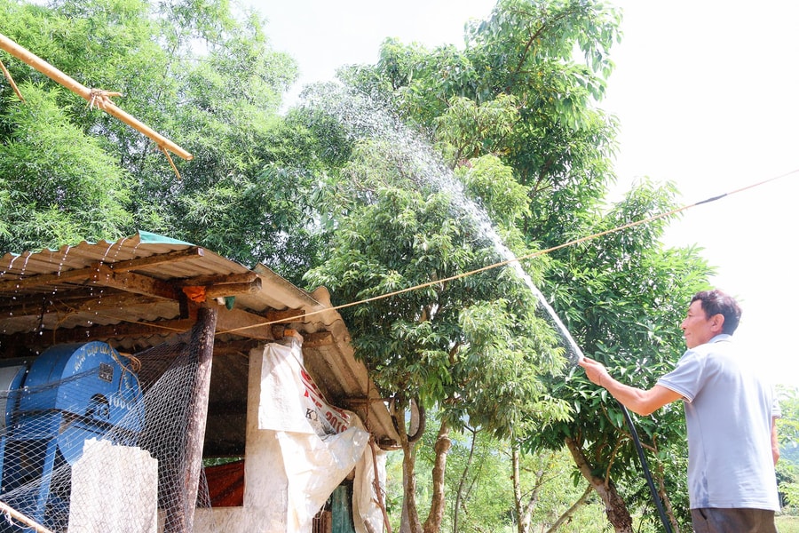 Vùng cao Nghệ An bảo vệ cây trồng, vật nuôi trong nắng nóng cực đỉnh