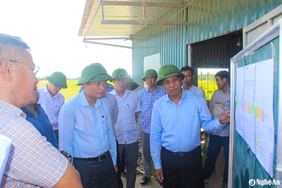 Phó Chủ tịch Thường trực UBND tỉnh Lê Hồng Vinh kiểm tra tiến độ các công trình trọng điểm tại huyện Quỳnh Lưu