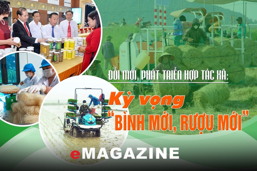 Bài 2: Mô hình hợp tác xã 'kinh tế xanh'