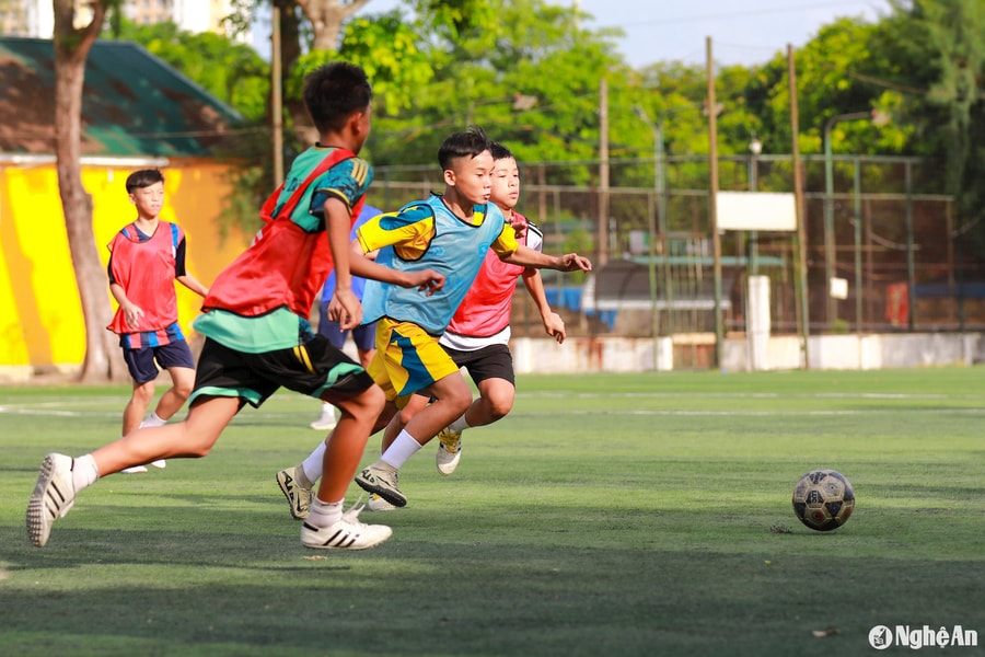 30 cầu thủ Cúp Báo Nghệ An tham gia tuyển chọn tại Sông Lam Nghệ An