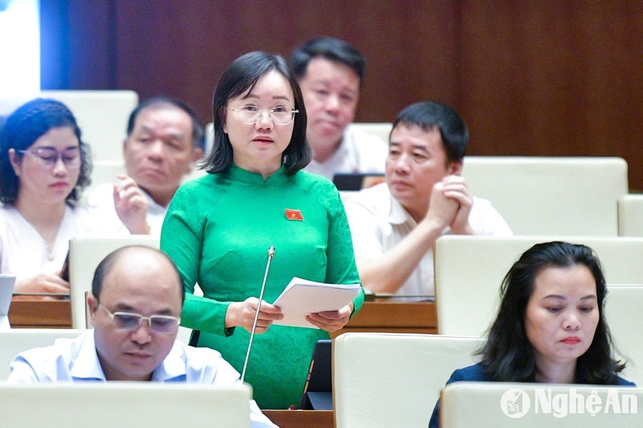 Đại biểu Quốc hội đoàn Nghệ An thảo luận về dự án Luật Quy hoạch đô thị và quy hoạch nông thôn