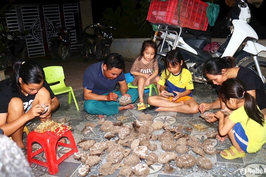 Nhộn nhịp thu mua tổ ong vang tại các huyện miền núi Nghệ An