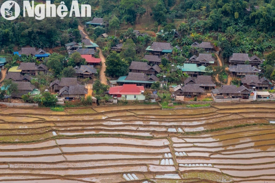 Quy định về hạn mức nhận chuyển quyền sử dụng đất nông nghiệp của cá nhân