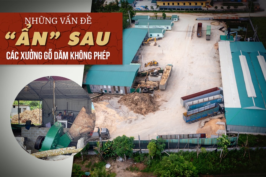 Bài 1: Cận cảnh xưởng băm gỗ dăm không phép
