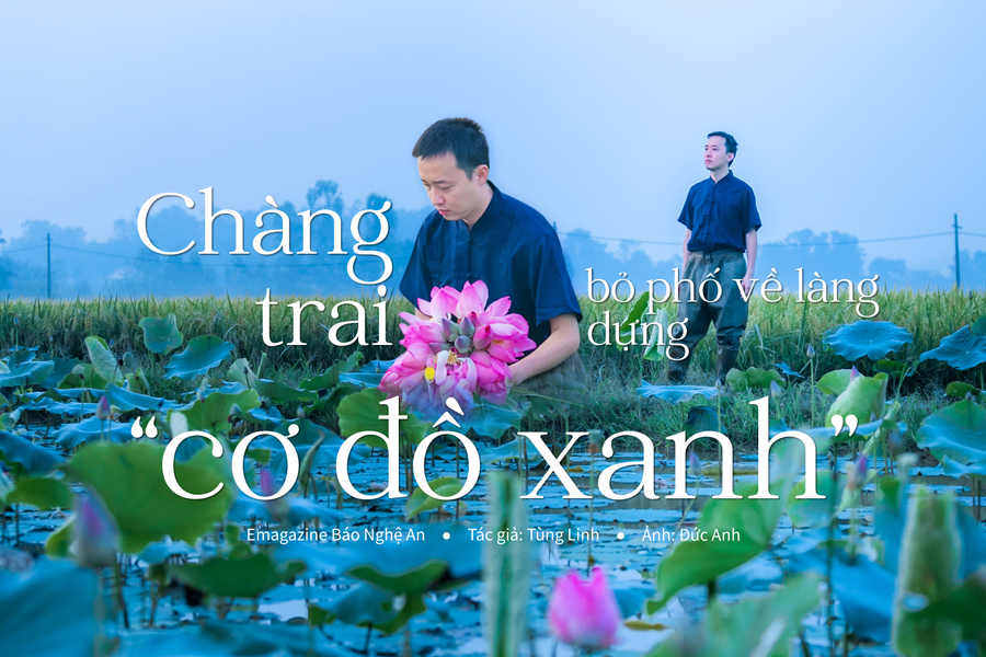 Chàng trai bỏ phố về làng dựng 'cơ đồ xanh'