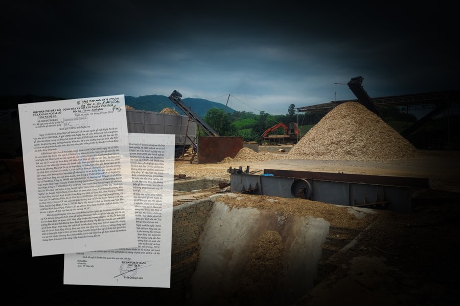 Sớm xác minh thông tin phản ánh có nhiều xưởng gỗ dăm trái phép mới xuất hiện