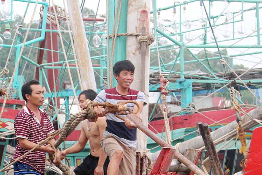 Ngư dân Nghệ An hối hả về bờ tránh bão