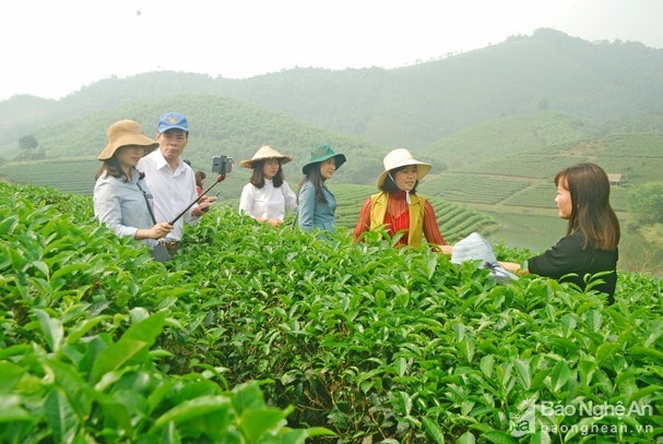 Sở Du lịch cập nhật kiến thức cho 70 hướng dẫn viên nội địa và quốc tế