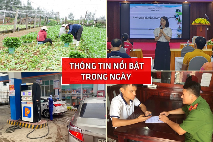 Nghệ An: Thông tin nổi bật ngày 24/7